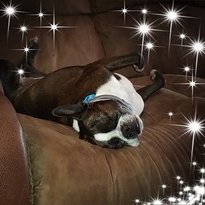 Meet your Posher, Janine